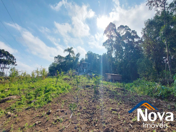 Imagem Imóvel à Venda, 32.549 m² em Linha Olinda - Nova Petrópolis Imagem Imóvel à Venda, 32.549 m² em Linha Olinda - Nova Petrópolis