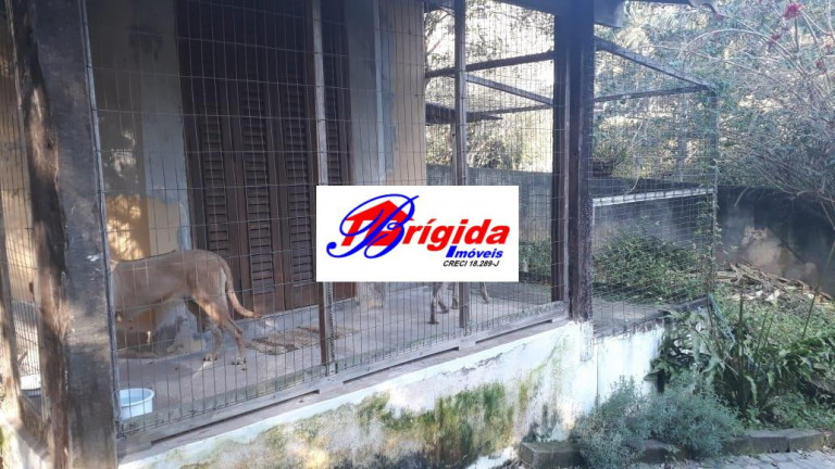 Imagem Casa de Condomínio com 4 Quartos à Venda, 138 m² em Granja Carneiro Viana - Cotia Imagem Casa de Condomínio com 4 Quartos à Venda, 138 m² em Granja Carneiro Viana - Cotia