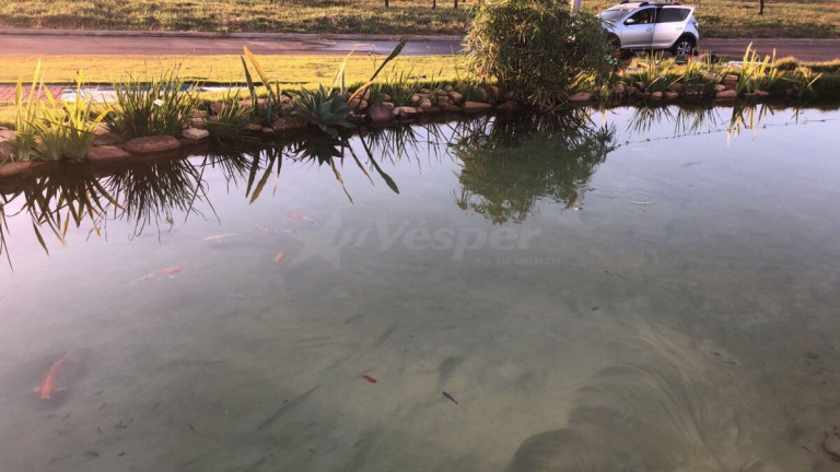 Imagem Terreno à Venda, 1.000 m² em Estância Vargem Bonita - Senador Canedo Imagem Terreno à Venda, 1.000 m² em Estância Vargem Bonita - Senador Canedo
