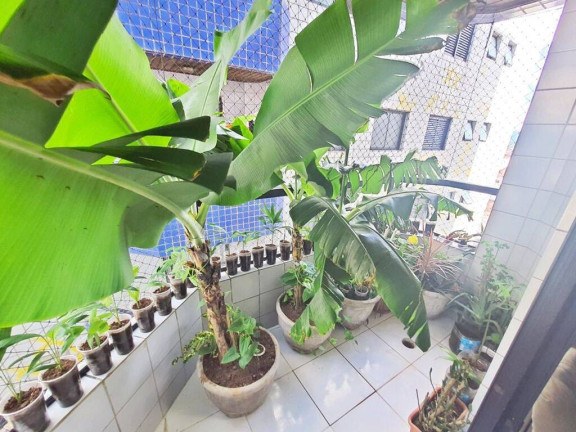 Imagem Apartamento com 2 Quartos à Venda, 75 m² em Ocian - Praia Grande
