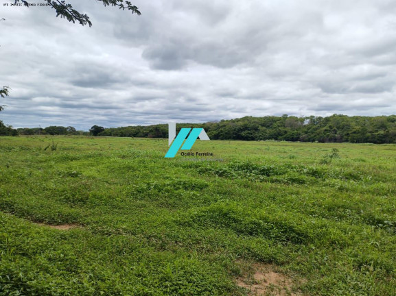 Imagem Fazenda à Venda, 82 m² em Zona Rural - Santo Hipólito Imagem Fazenda à Venda, 82 m² em Zona Rural - Santo Hipólito