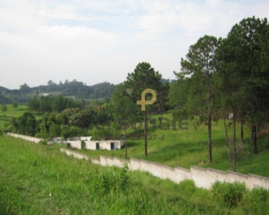 Imagem Imóvel à Venda, 50.000 m² em Brigadeiro Tobias - Sorocaba Imagem Imóvel à Venda, 50.000 m² em Brigadeiro Tobias - Sorocaba