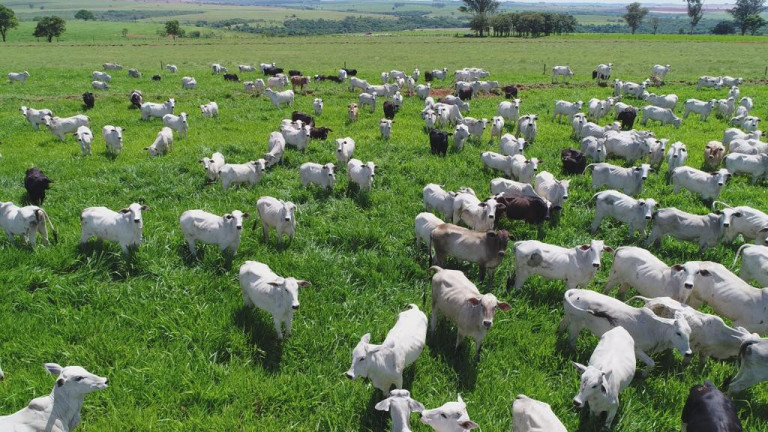 Imagem Fazenda à Venda, 632 m² em Rural - Echaporã