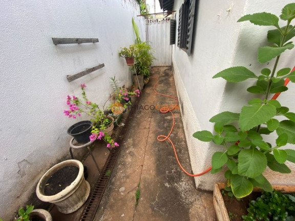 Imagem Casa com 2 Quartos para Alugar, 200 m² em Conjunto Habitacional Hilda Mandarino - Araçatuba Imagem Casa com 2 Quartos para Alugar, 200 m² em Conjunto Habitacional Hilda Mandarino - Araçatuba
