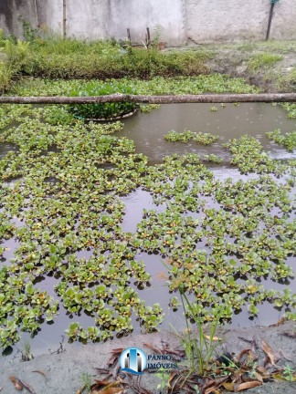 Imagem Terreno à Venda, 1.950 m² em Chácaras Rio-petrópolis - Duque De Caxias