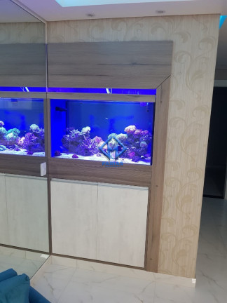 Imagem Apartamento com 2 Quartos à Venda, 68 m² em Ipiranga - São Paulo