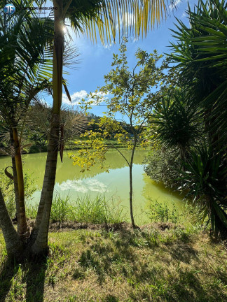 Imagem Chácara com 6 Quartos à Venda, 55.000 m² em Belo Oriente Imagem Chácara com 6 Quartos à Venda, 55.000 m² em Belo Oriente