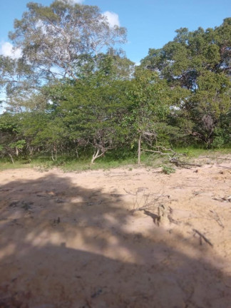 Imagem Imóvel à Venda,  em Colinas/ma - Colinas