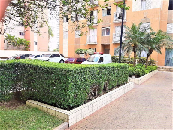 Imagem Apartamento com 2 Quartos à Venda, 48 m² em Cambuci - São Paulo Imagem Apartamento com 2 Quartos à Venda, 48 m² em Cambuci - São Paulo