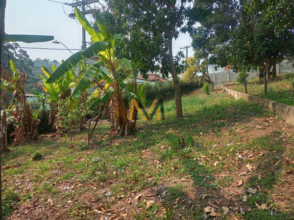 Imagem Imóvel com 3 Quartos à Venda, 3.800 m² em Capoavinha - Mairiporã Imagem Imóvel com 3 Quartos à Venda, 3.800 m² em Capoavinha - Mairiporã
