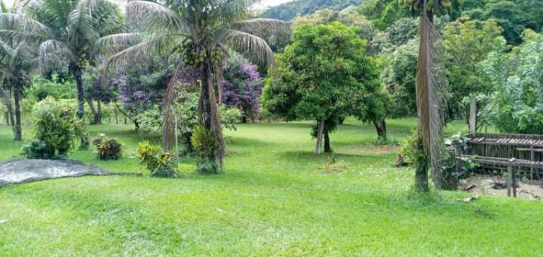 Imagem Imóvel à Venda, em Tocantins Km 103 - Tocantins Imagem Imóvel à Venda, em Tocantins Km 103 - Tocantins