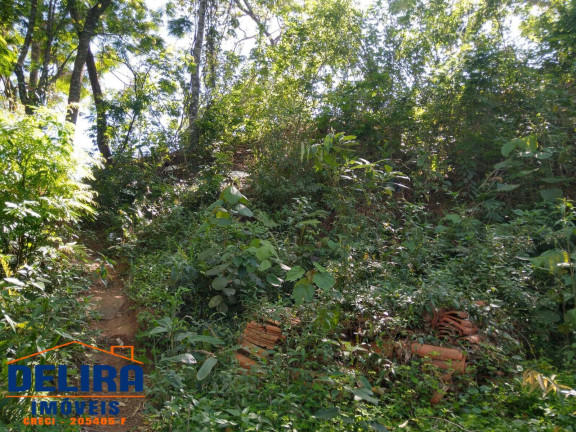 Imagem Terreno à Venda, 260 m² em Terra Preta - Mairiporã Imagem Terreno à Venda, 260 m² em Terra Preta - Mairiporã