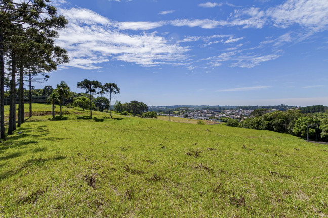 Imagem Terreno à Venda, 815 m² em Ferraria - Campo Largo Imagem Terreno à Venda, 815 m² em Ferraria - Campo Largo