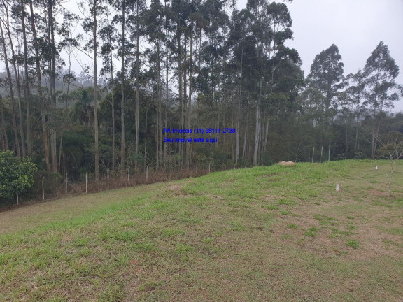 Imagem Terreno à Venda, 509 m² em Portal Do Santa Paula - Cotia