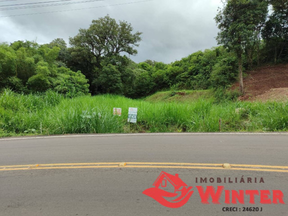 Imagem Terreno à Venda, 1 m² em Picão - Feliz Imagem Terreno à Venda, 1 m² em Picão - Feliz