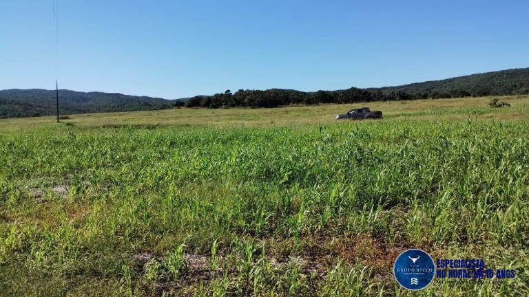 Imagem Fazenda à Venda, 92 m² em Zona Rural - Jaupaci Imagem Fazenda à Venda, 92 m² em Zona Rural - Jaupaci