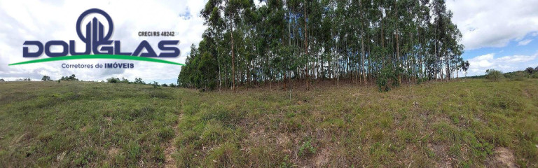 Imagem Chácara à Venda, 20.000 m² em águas Claras - Viamão