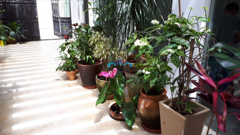 Imagem Apartamento com 2 Quartos à Venda, 87 m² em Vila Mariana - São Paulo Imagem Apartamento com 2 Quartos à Venda, 87 m² em Vila Mariana - São Paulo