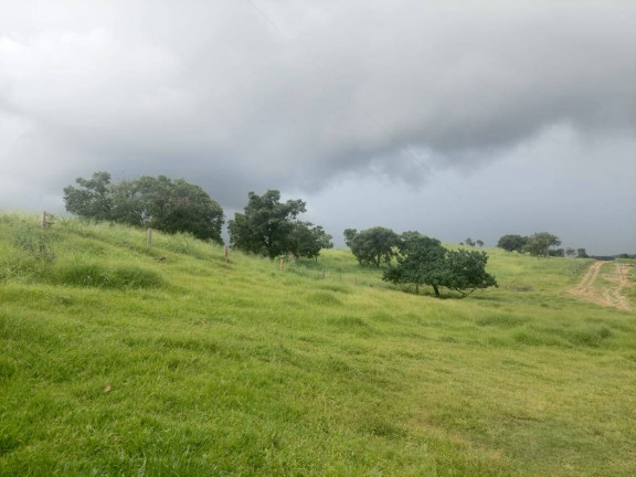 Imagem Chácara com 3 Quartos à Venda, 120 m² em Distrito Da Guia - Cuiabá Imagem Chácara com 3 Quartos à Venda, 120 m² em Distrito Da Guia - Cuiabá