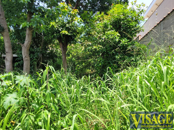 Imagem Terreno à Venda, 250 m² em Jardim Terras De São João - Jacareí Imagem Terreno à Venda, 250 m² em Jardim Terras De São João - Jacareí