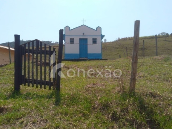 Imagem Fazenda à Venda, 90 m² em Zona Rural - São Luíz Do Paraitinga