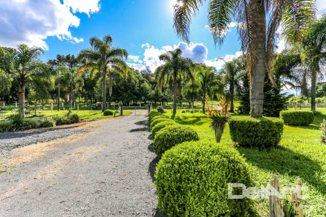 Imagem Chácara com 3 Quartos à Venda, 155 m² em Fazendinha - Rio Negro Imagem Chácara com 3 Quartos à Venda, 155 m² em Fazendinha - Rio Negro