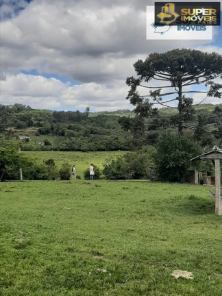 Imagem Imóvel com 6 Quartos à Venda, 125.000 m² em Centro - Morro Redondo