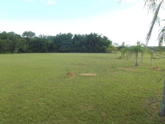 Imagem Chácara à Venda, 4.000 m² em águas Claras - Viamão