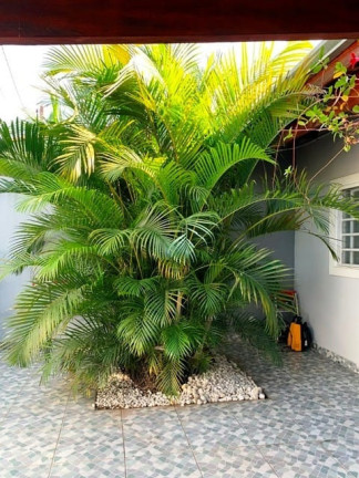 Imagem Casa com 2 Quartos à Venda, 137 m² em Residencial Parque Das Palmeiras - Pindamonhangaba Imagem Casa com 2 Quartos à Venda, 137 m² em Residencial Parque Das Palmeiras - Pindamonhangaba