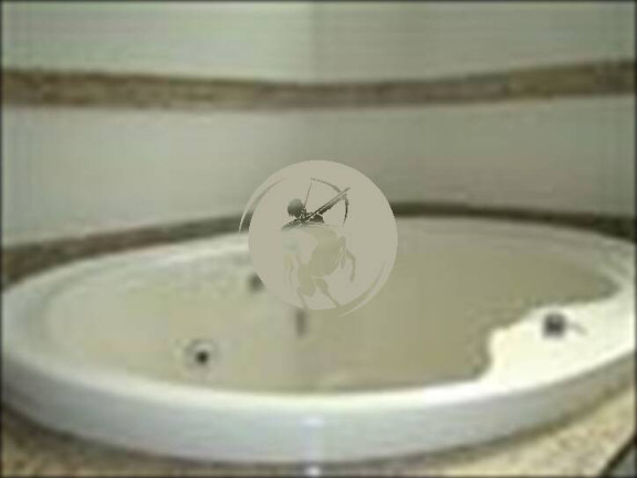 Imagem Cobertura com 4 Quartos à Venda, 400 m² em Gonzaga - Santos Imagem Cobertura com 4 Quartos à Venda, 400 m² em Gonzaga - Santos
