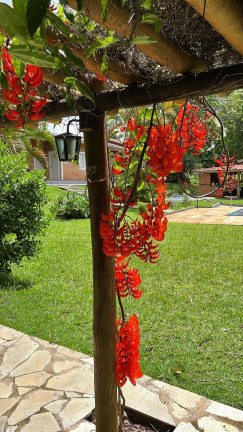 Imagem Chácara com 5 Quartos à Venda, 10 m² em Cachoeirinha - Aragoiânia Imagem Chácara com 5 Quartos à Venda, 10 m² em Cachoeirinha - Aragoiânia