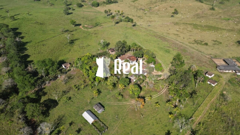 Imagem Fazenda à Venda, 1.300.000 m² em Centro - Mata De São João