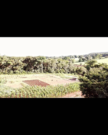 Imagem Chácara à Venda, 29.000 m² em área Rural De Luziânia - Luziânia Imagem Chácara à Venda, 29.000 m² em área Rural De Luziânia - Luziânia