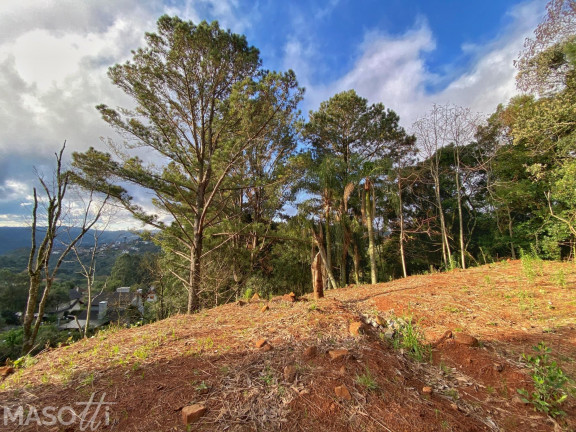 Imagem Terreno à Venda, 988 m² em Vale Das Colinas - Gramado Imagem Terreno à Venda, 988 m² em Vale Das Colinas - Gramado