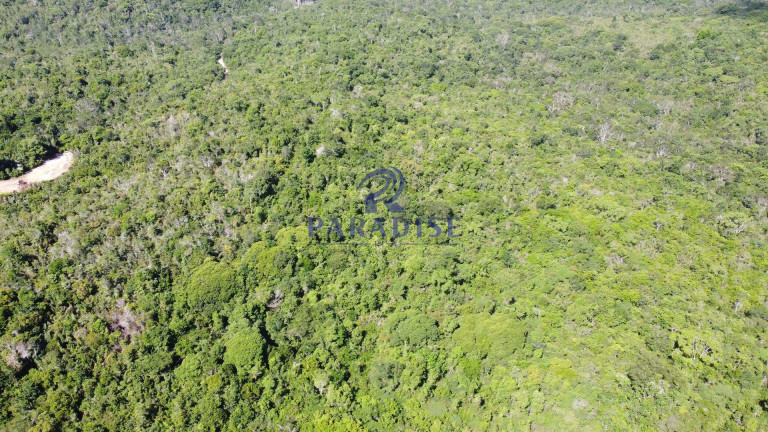 Imagem Fazenda à Venda, 592.700 m² em Monte Gordo (monte Gordo) - Camaçari Imagem Fazenda à Venda, 592.700 m² em Monte Gordo (monte Gordo) - Camaçari