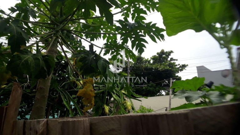 Imagem Casa com 3 Quartos à Venda, 150 m² em Parque Da Figueira - Campinas Imagem Casa com 3 Quartos à Venda, 150 m² em Parque Da Figueira - Campinas