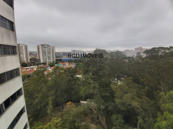 Imagem Apartamento com 3 Quartos à Venda, 64 m² em Jardim Olympia - São Paulo Imagem Apartamento com 3 Quartos à Venda, 64 m² em Jardim Olympia - São Paulo