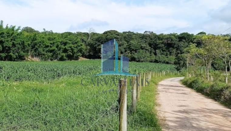 Imagem Imóvel com 2 Quartos à Venda, 5.000 m² em Andiroba - Esmeraldas Imagem Imóvel com 2 Quartos à Venda, 5.000 m² em Andiroba - Esmeraldas