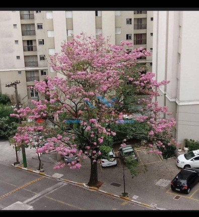 Imagem Apartamento com 2 Quartos à Venda, 51 m² em Vila Das Belezas - São Paulo