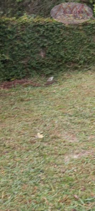Imagem Terreno à Venda, 500 m² em Luiz Fagundes - Mairiporã