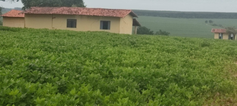 Imagem Chácara com 3 Quartos à Venda, 774 m² em Zona Rural - Alambari Imagem Chácara com 3 Quartos à Venda, 774 m² em Zona Rural - Alambari