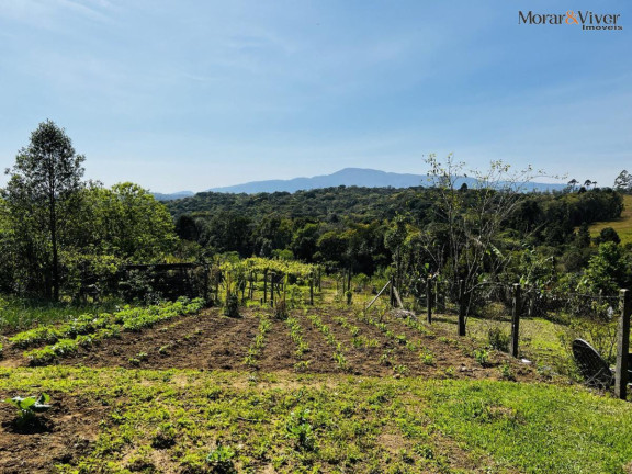Imagem Chácara à Venda, 6.300 m² em Zona Rural - Tijucas Do Sul