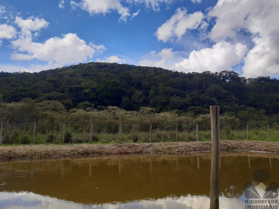 Imagem Imóvel com 2 Quartos à Venda, 8.000 m² em Cachoeira Da Mata - Entre Rios De Minas Imagem Imóvel com 2 Quartos à Venda, 8.000 m² em Cachoeira Da Mata - Entre Rios De Minas