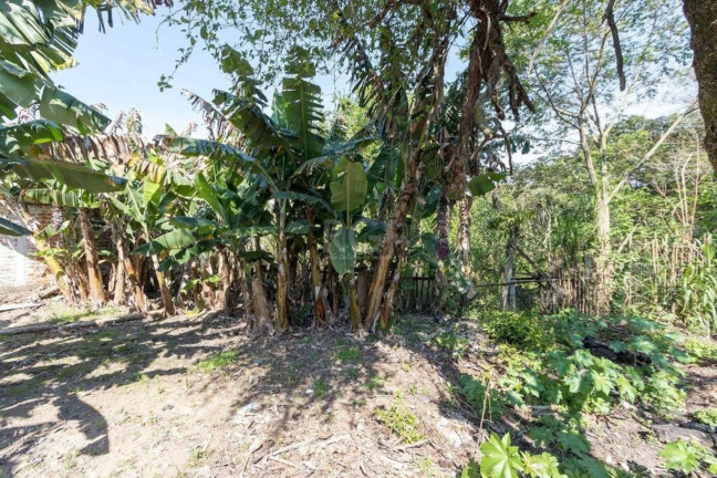 Imagem Terreno à Venda,  em Chapéu Do Sol - Porto Alegre