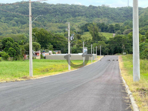 Imagem Terreno à Venda, 250 m² em Aliança - Santa Cruz Do Sul Imagem Terreno à Venda, 250 m² em Aliança - Santa Cruz Do Sul