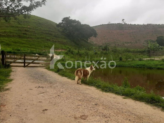 Fazenda à Venda, 90 m² em Itapeva - Paraibuna