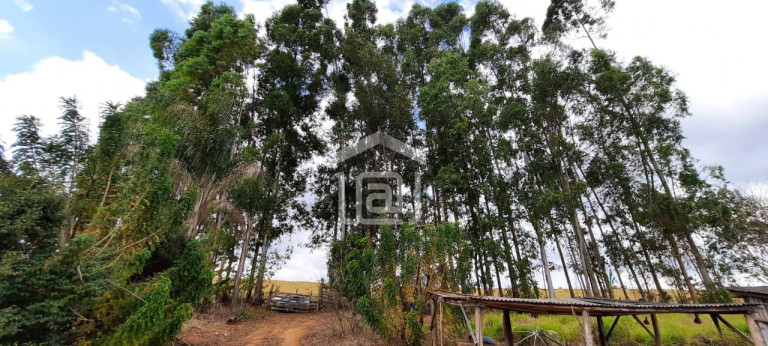 Imagem Imóvel com 2 Quartos à Venda, 60 m² em Faxinal - Botelhos Imagem Imóvel com 2 Quartos à Venda, 60 m² em Faxinal - Botelhos