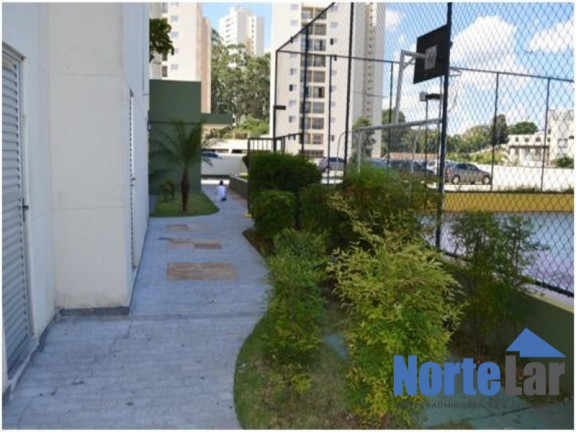Imagem Apartamento com 2 Quartos à Venda, 50 m² em Vila Cruz Das Almas - São Paulo Imagem Apartamento com 2 Quartos à Venda, 50 m² em Vila Cruz Das Almas - São Paulo