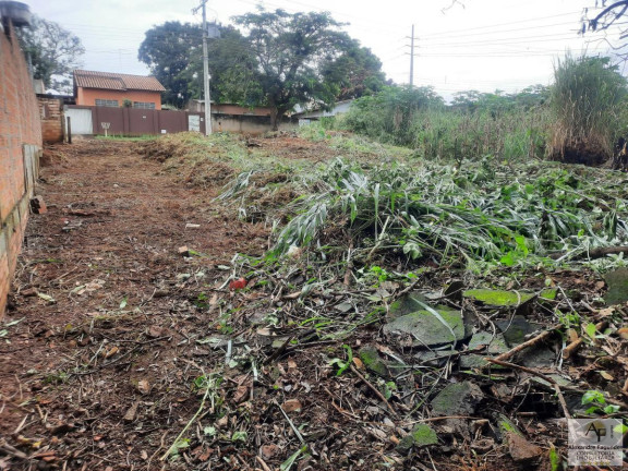 Imagem Terreno à Venda, 390 m² em Morada Dos Pássaros - Aparecida De Goiânia