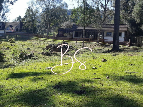 Imagem Imóvel com 2 Quartos à Venda, 15.000 m² em Linha Araripe - Gramado Imagem Imóvel com 2 Quartos à Venda, 15.000 m² em Linha Araripe - Gramado
